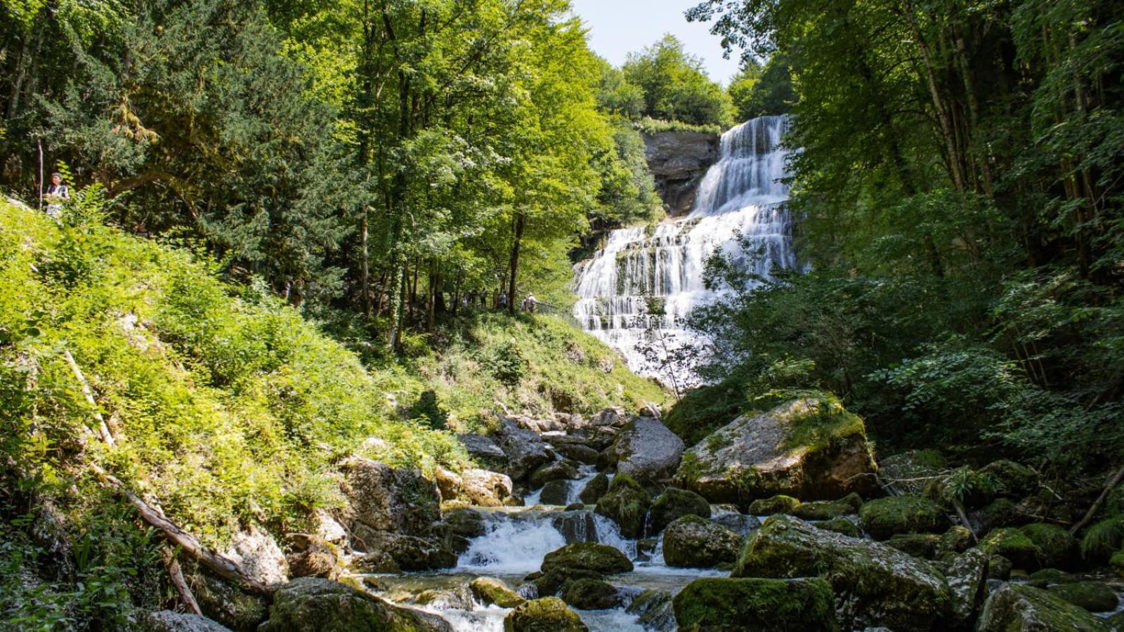 T2 Cosy Au Coeur Du Haut-Jura, Parking Gratuit Leilighet Morbier Eksteriør bilde
